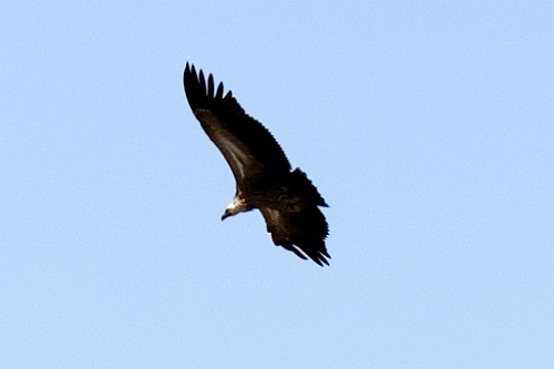 Kenia (183)